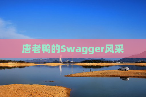 唐老鸭的Swagger风采